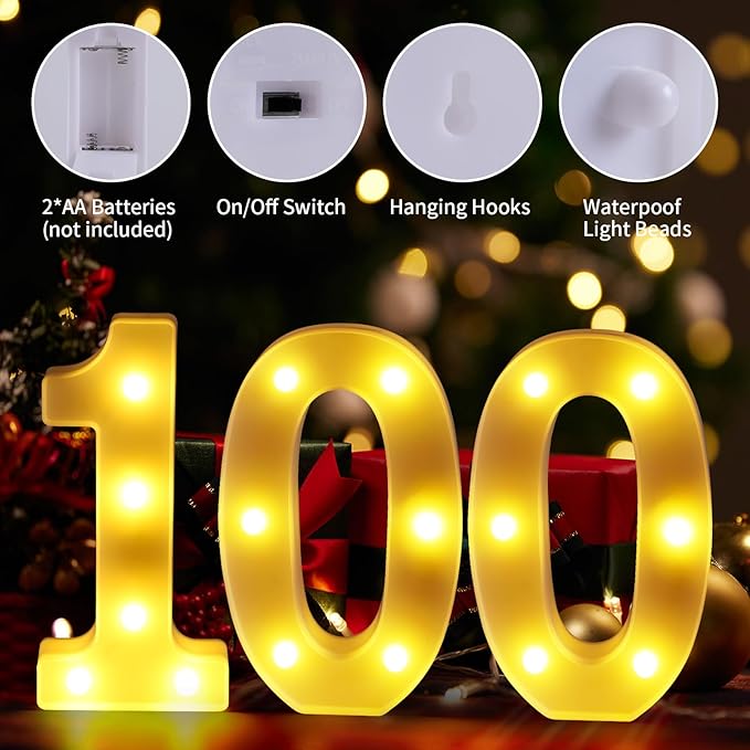 100th Birthday Decorations for Women Men, 100 Birthday Decorations for - Image 3