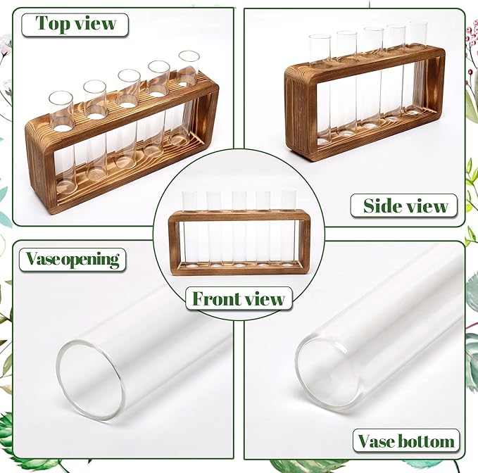 Glass Plant Propagation Station - Image 3