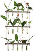 YIBOT Propagation Stations, 3 Tiered Wall Hanging Terrarium by YIBOT