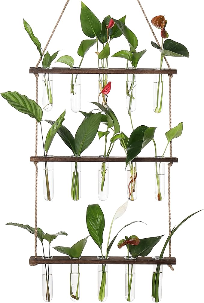 YIBOT Propagation Stations, 3 Tiered Wall Hanging Terrarium by YIBOT