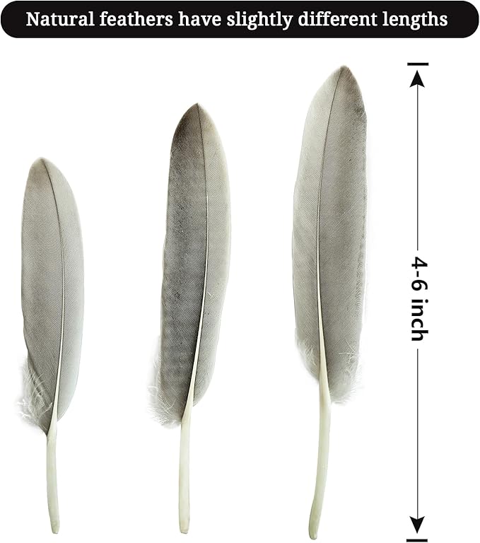 FeelfunFeather 120pcs Natural Gray Goose Cochettes Feathers Bulk 4-6 inches - Image 2