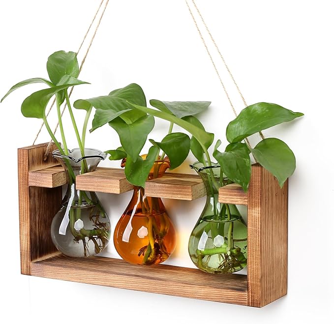 Plant Propagation Station Plant Terrarium Unique Birthday Gifts by Unknown
