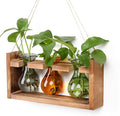 Plant Propagation Station Plant Terrarium Unique Birthday Gifts by Unknown
