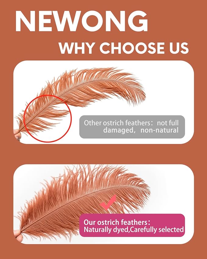 NEWONG 30pcs Brown Ostrich Feathers Natural Bulk 8-10in（20-25cm） Vase Craft - Image 4