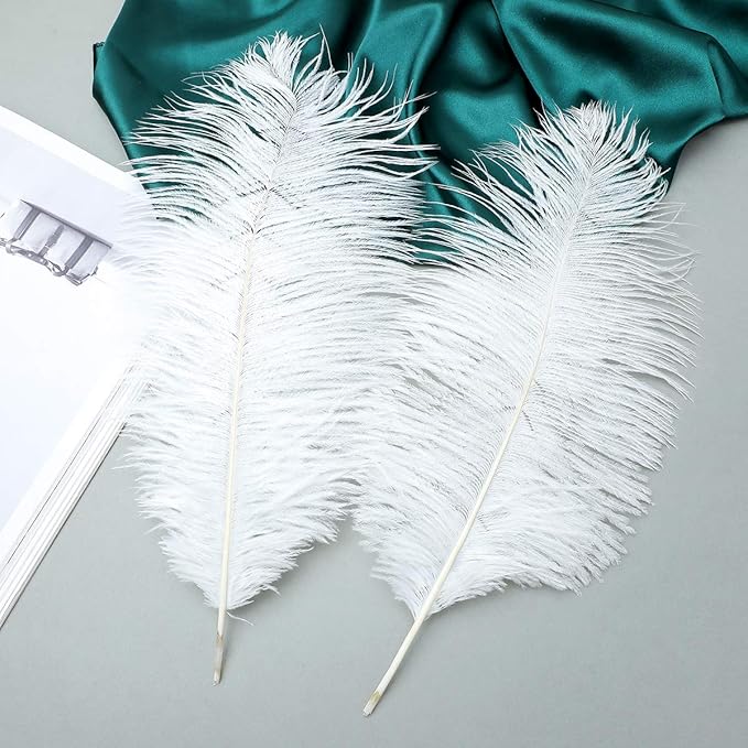 24pcs Natural White Ostrich Feathers 10-12inch - Image 4