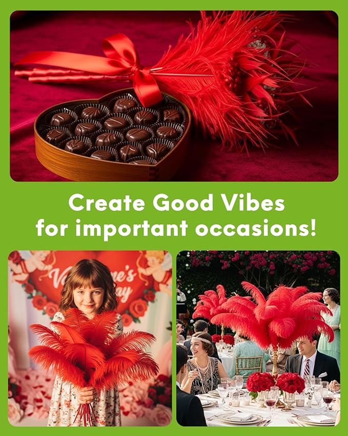 NEWONG 30pcs red Ostrich Feathers Natural Bulk 8-10inch Vase Craft Wedding Home - Image 3