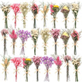 12/24 Pack Dried Flowers for Vase Various Mini Bouquet Dried Small Wildflowers by Unknown