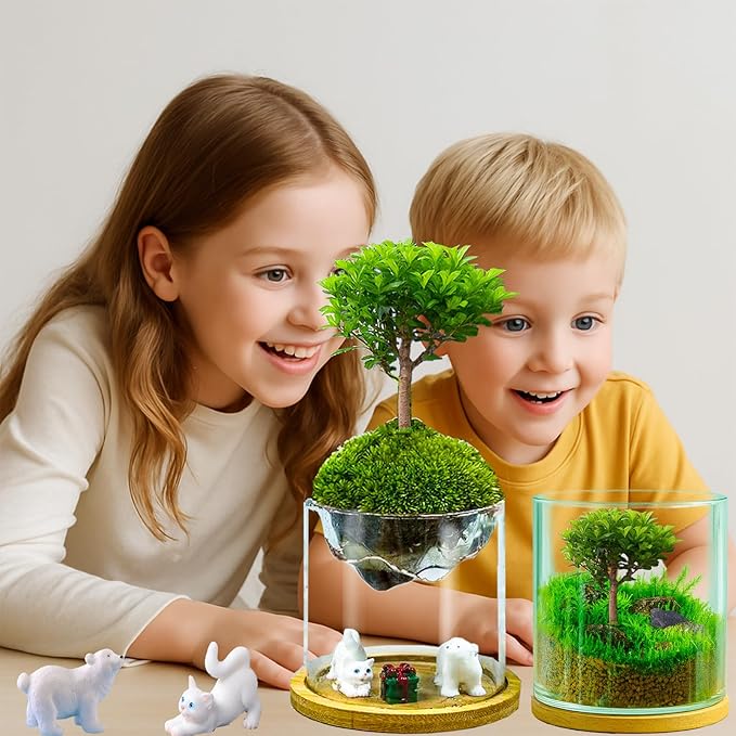 4 in 1 Plant Propagation Station Hydroponic Vase Planter Pot, Indoor Glass - Image 6