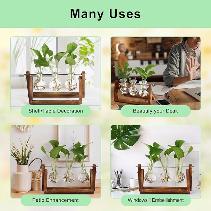 YIBOT Propagation Stations, Plant Terrarium - Image 7