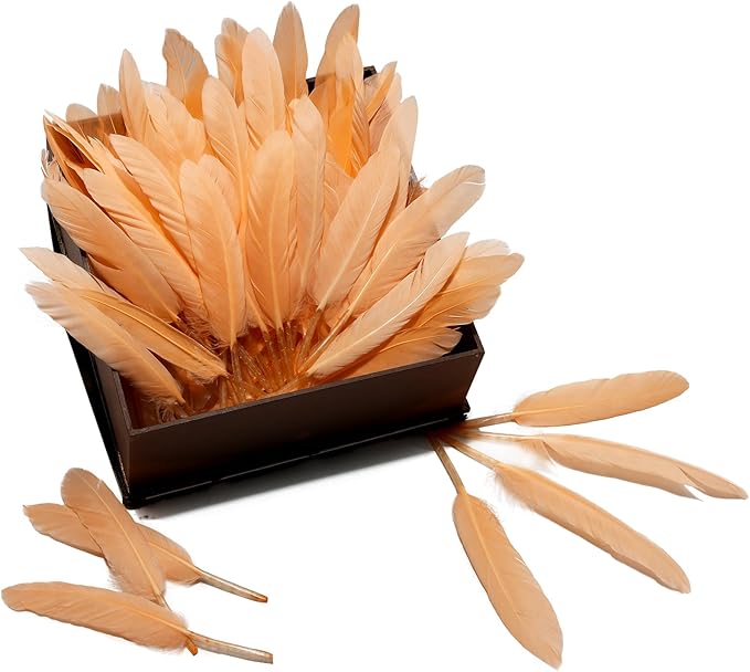 FeelfunFeather 120pcs Champagne Goose Cochettes Feather Natural Bulk 4-6 inch - Image 4