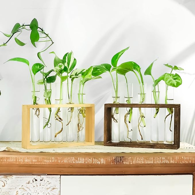 Ivolador Plant Propagation Station Terrariumin Wall Test Tube Vases Bud - Image 9