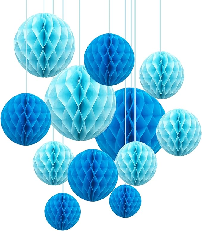 ZOOYOO 12Pcs 6" 10" Honeycomb Balls Decorations Hanging Tissue Paper Pom poms by ZOOYOO