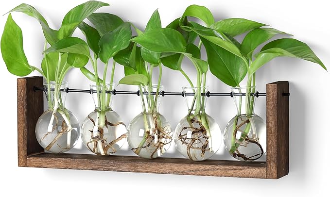 YIBOT Plants Propagation Stations, Plant Terrarium by YIBOT