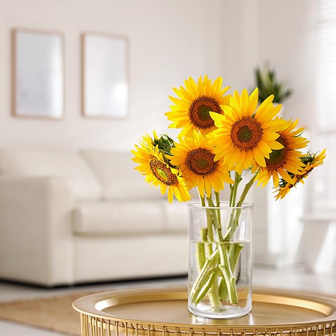 6 Pack Clear Glass Cylinder Vases, 6 Inch Flowers Vase, Floating Candle Holder - Image 5