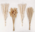 Natural Dried Pampas Grass Decor, Reed Grass Bouquet by ANPROOR