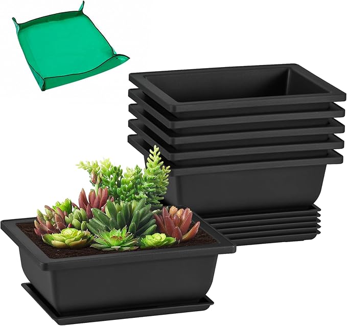 GROWNEER 6 Packs 6.5 Inch Bonsai Training Pots by GROWNEER
