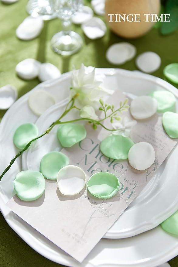TINGE TIME 400pcs Silk Flower Petals - Image 5