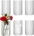 Glass Cylinder Vases Set of 6 Clear Ribbed Glass Vases by Steviieden