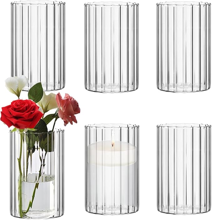 Glass Cylinder Vases Set of 6 Clear Ribbed Glass Vases by Steviieden