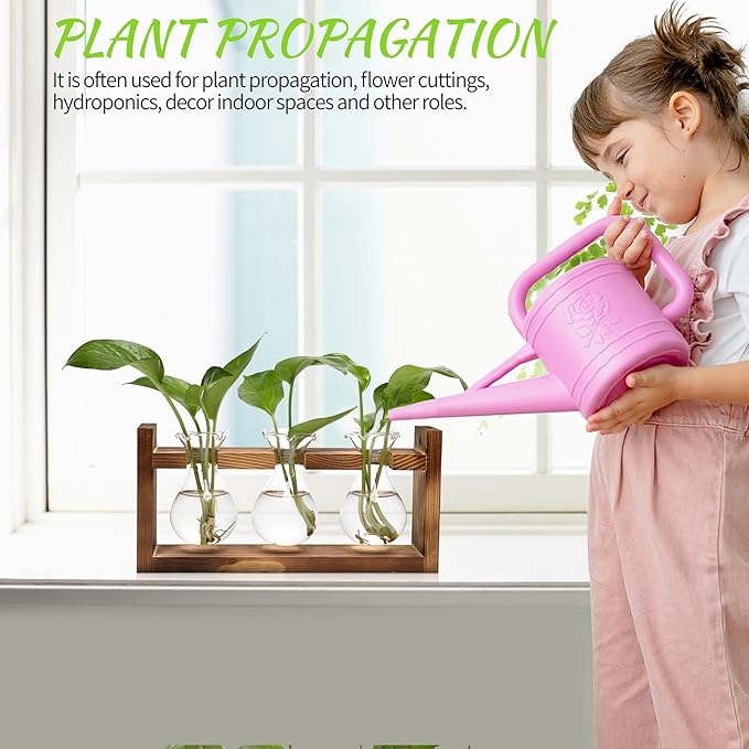Plant Propagation Station Plant Terrarium Unique Birthday Gifts - Image 4