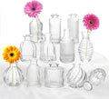 Bud Vases Set of 12, Glass Vase by PHUNTTEK