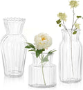 Modern Clear Glass Vase Set by SUJUN