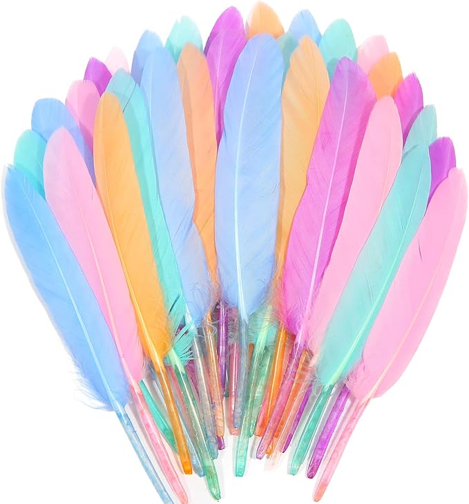 FeelfunFeather 120pcs Macaron Goose Cochettes Feather 4-6 inch 10-15cm Bulk by FeelFunFeather