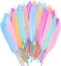 FeelfunFeather 120pcs Macaron Goose Cochettes Feather 4-6 inch 10-15cm Bulk by FeelFunFeather
