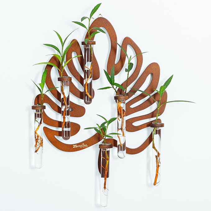 2Special Propagation Stations | Hanging Propagation Station and Wall Planters by Unknown
