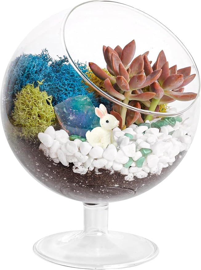 DIY Glass Plant Terrarium Kit for Adults, Metal Stand, Reindeer Moss, Tools & by CreationsbyNathalie