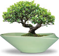 Ceramic Bonsai Pot by EPFamily