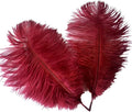 Sowder 8-10inch Ostrich Feathers Plume by Sowder