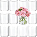 12pcs Small Glass Cylinder Vases by TBWIND