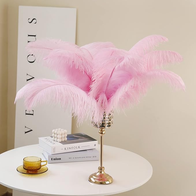 Larryhot Pink Long Ostrich Feathers - Image 3