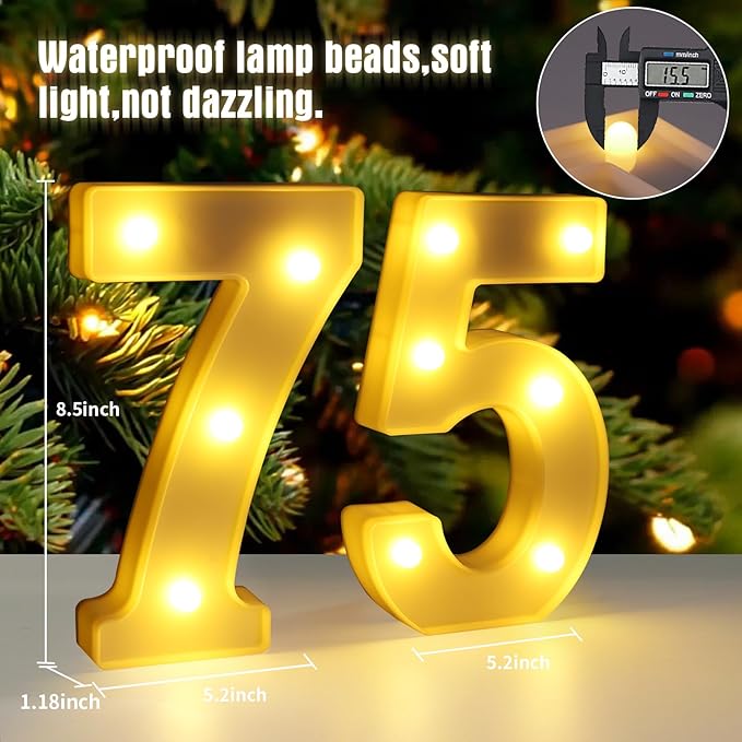 75th Birthday Decorations for Women Men, 75 Birthday Decorations for - Image 2