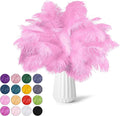 NEWONG 30pcs Pink Ostrich Feathers Natural Bulk 9-12inch Vase Craft Wedding by NEWONG
