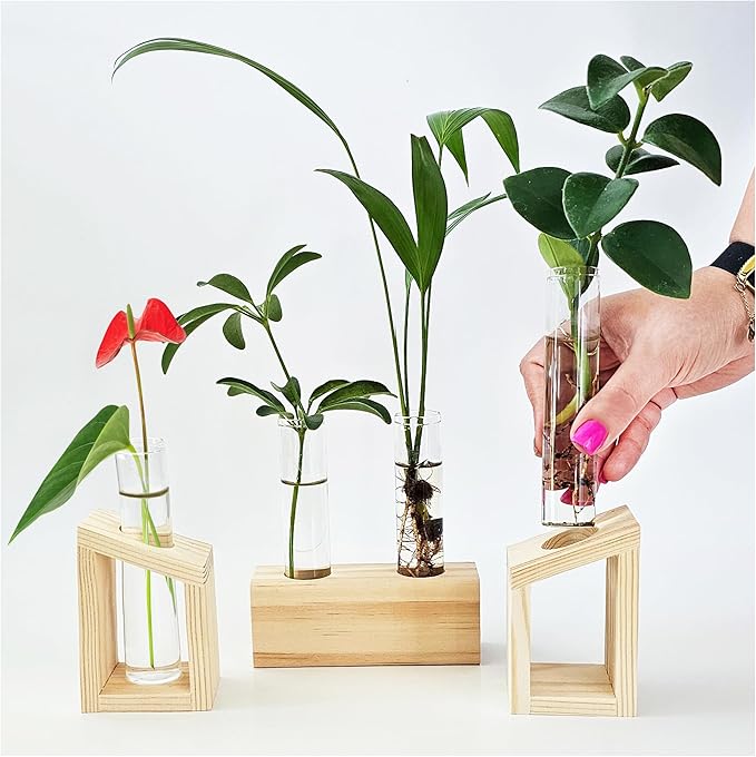 Plant Propagation Station by Unknown