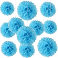 20 PCS Baby Blue Tissue Paper Pom Poms, Tissue Pom Poms Flowers, Sizes of 6" by Zankubom