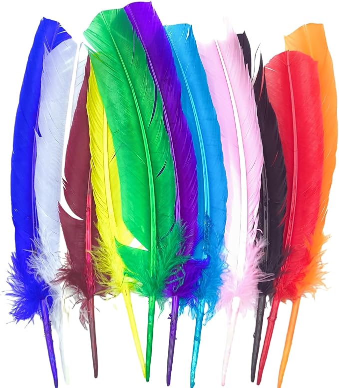 Colorful Turkey Feathers, Turkish Feather by Unknown