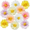 12 Pcs Daisy Tissue Paper Pom Poms Party Decorations Colorful Tissue Flowers by BalunAdmhail
