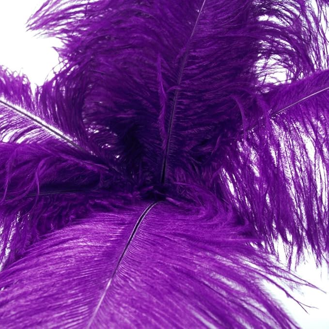 KOLIGHT 40pcs 12''~14'' Natural Ostrich Feathers - Image 2