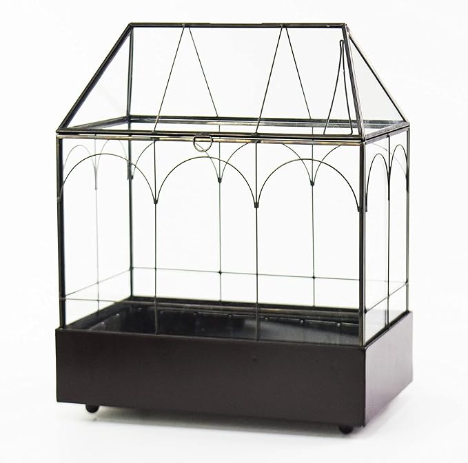 Large Tall Glass Plant Terrarium – House Succulent Terrarium Kit - Image 9