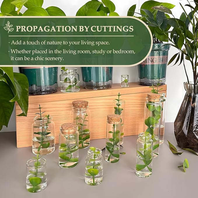 JIUYUE 40 pcs 50 ml Small Glass Cork Bottles, Cork Decoration - Image 6