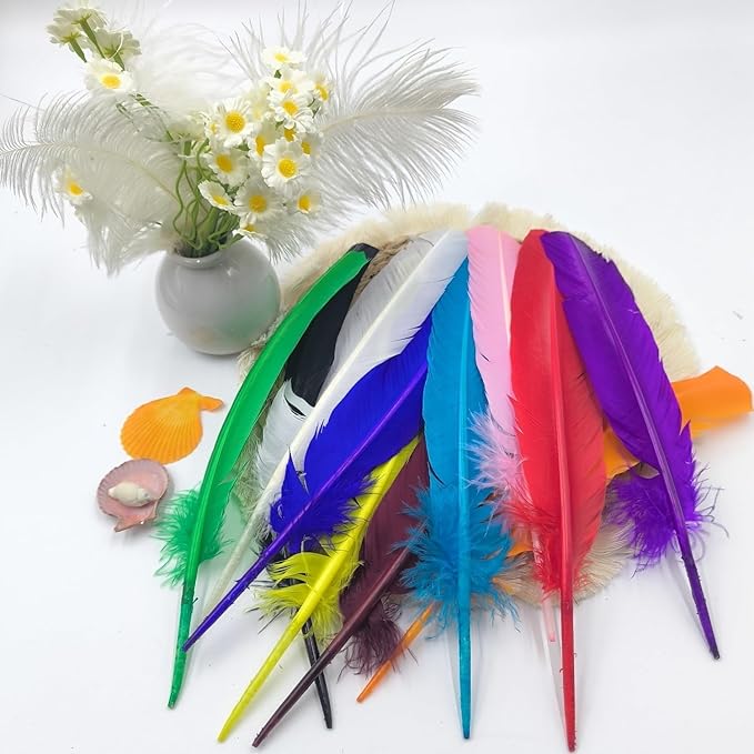 Colorful Turkey Feathers, Turkish Feather - Image 6