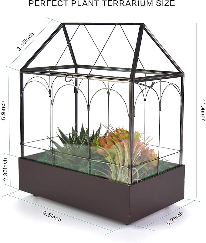 Large Tall Glass Plant Terrarium – House Succulent Terrarium Kit - Image 6