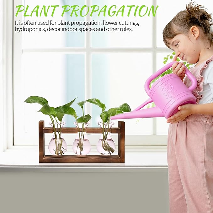 Plant Propagation Station Plant Terrarium Unique Birthday Gifts - Image 4