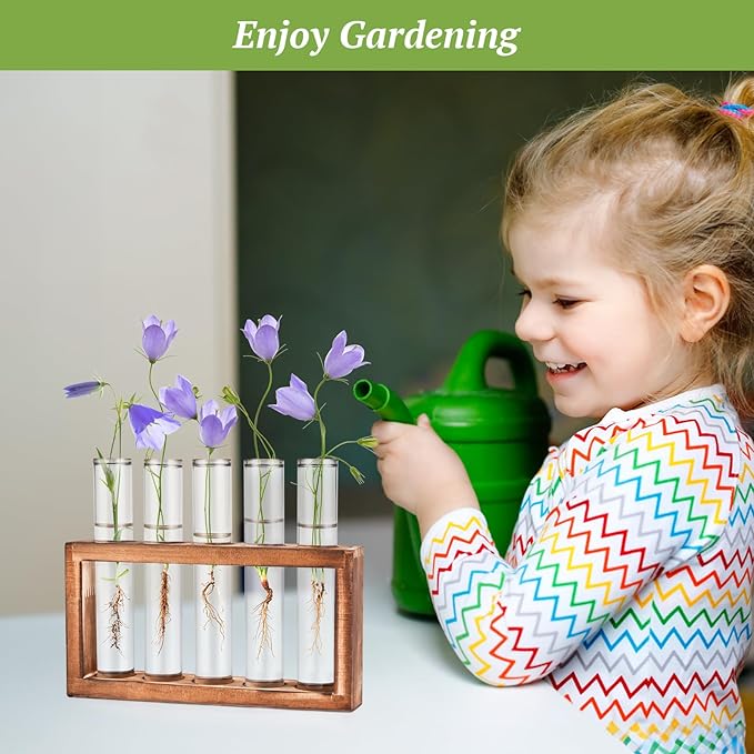 2pcs Desktop Glass Plant Propagation Station - Image 6
