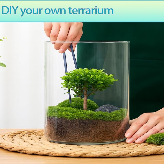 4 in 1 Plant Propagation Station Hydroponic Vase Planter Pot, Indoor Glass - Image 7