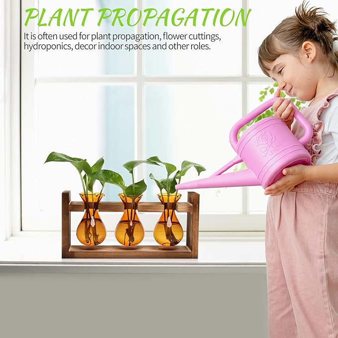Plant Propagation Station Plant Terrarium Unique Birthday Gifts - Image 4