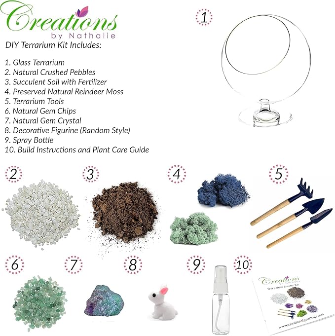 DIY Glass Plant Terrarium Kit for Adults, Metal Stand, Reindeer Moss, Tools & - Image 4